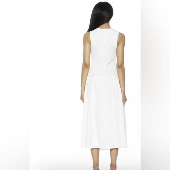 NWT Alexa Admor Drop Waist Dress - Picture 3 of 9